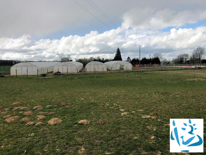 Maison - 205 m² - 7 pièces