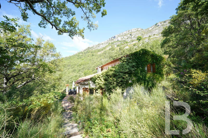 Maison - 256 m² - 11 pièces