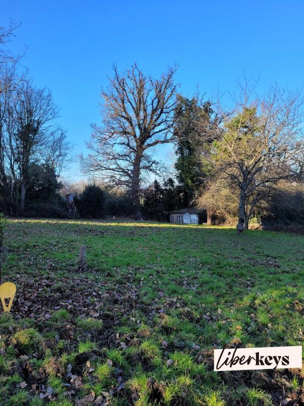 Terrain constructible