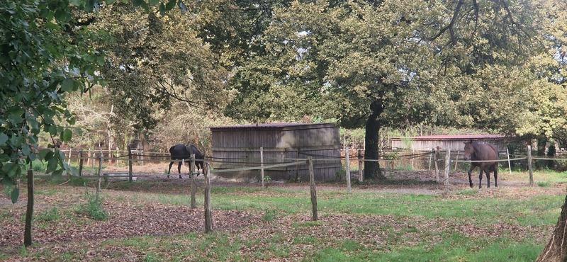 Maison - 180 m² - 8 pièces