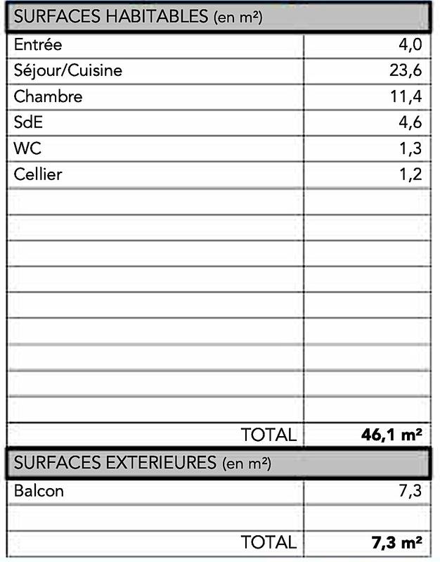 Appartement - 46 m² - 2 pièces