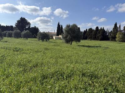 Maison - 171 m² - 7 pièces