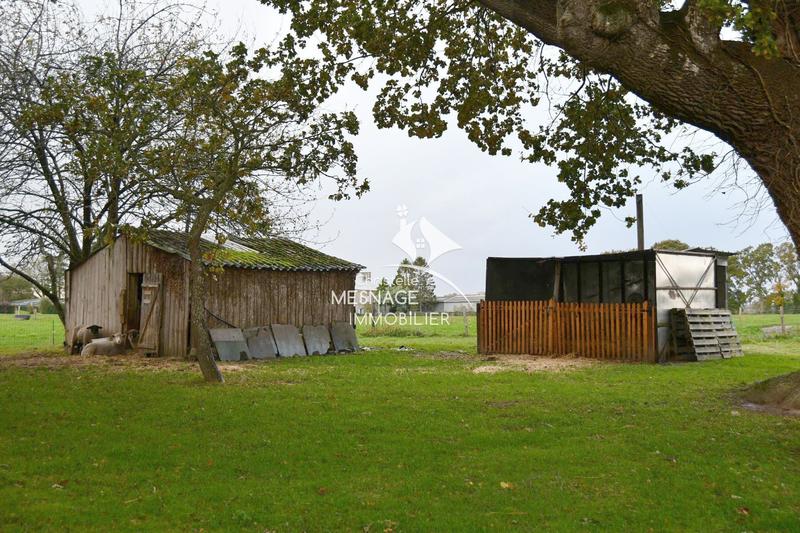 Ferme - 200 m² - 12 pièces