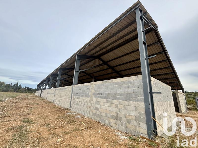 Terrain - 16 205 m²