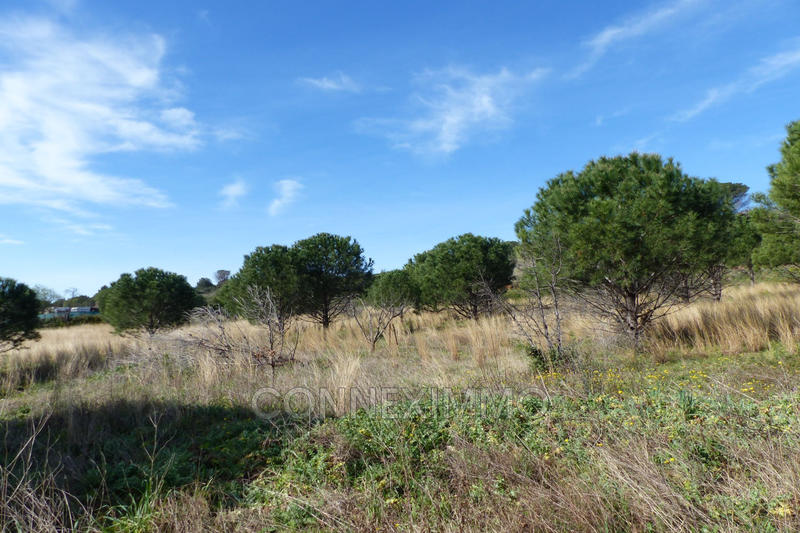 Terrain agricole - 12 250 m²