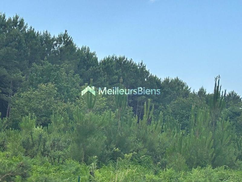 Maison - 106 m² - 6 pièces