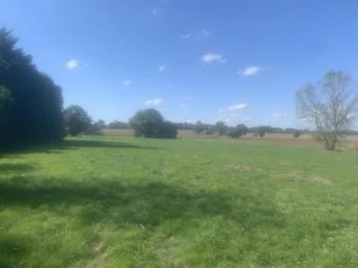 Terrain constructible - 5 000 m²