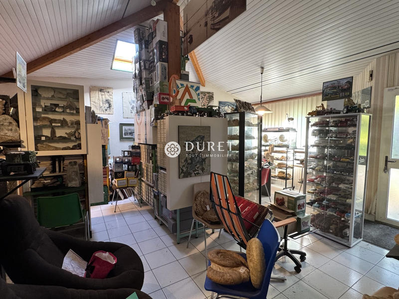 Viager - Maison ancienne - 139 m² - 6 pièces