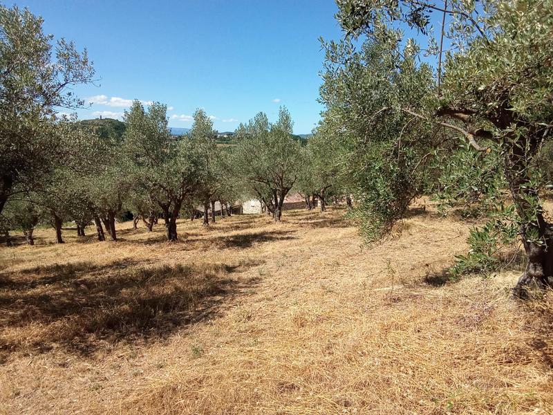 Bastide - 149 m² - 5 pièces