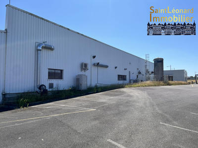 Local d'activités - 2 550 m²