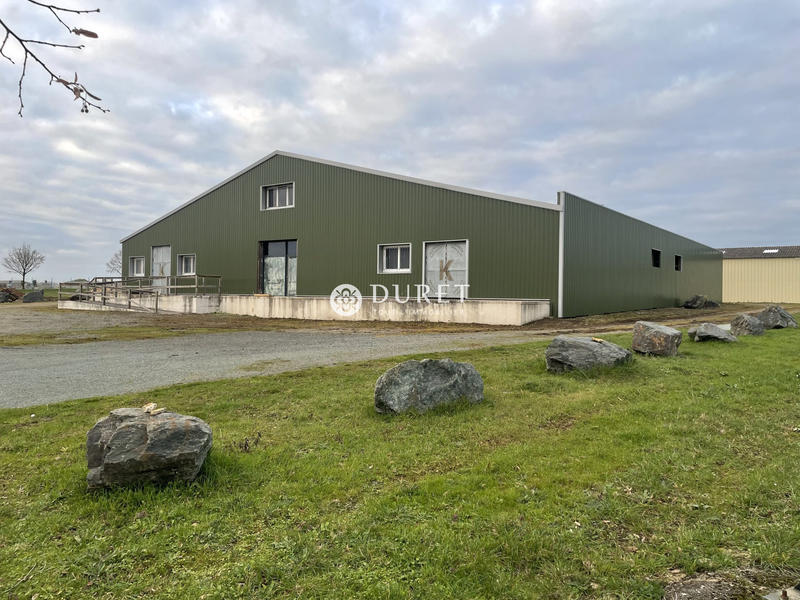 Local d'activités - 1 260 m²