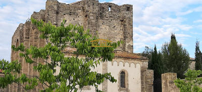 Appartement - 54 m² - 2 pièces