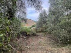 Terrain constructible - 380 m²