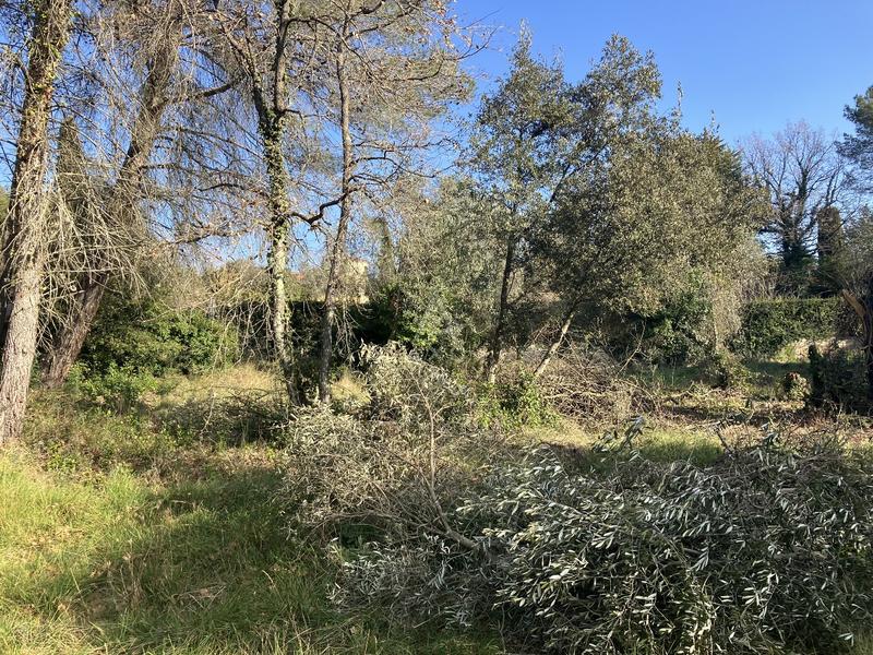 Terrain constructible - 11 000 m²