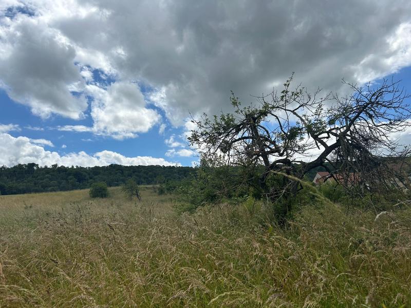 Terrain agricole - 3 349 m²