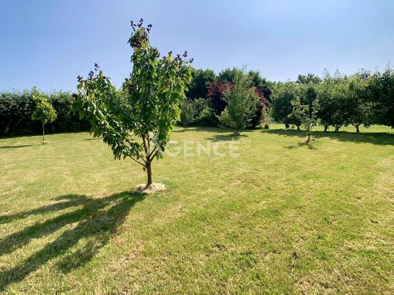 Fermette - 150 m² - 5 pièces