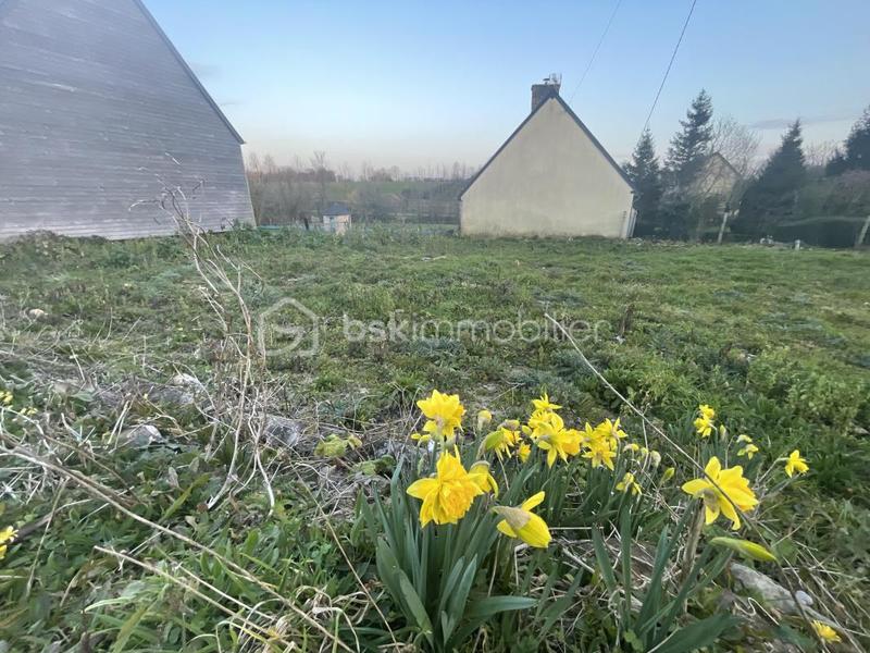 Maison en pierre - 73 m² - 4 pièces