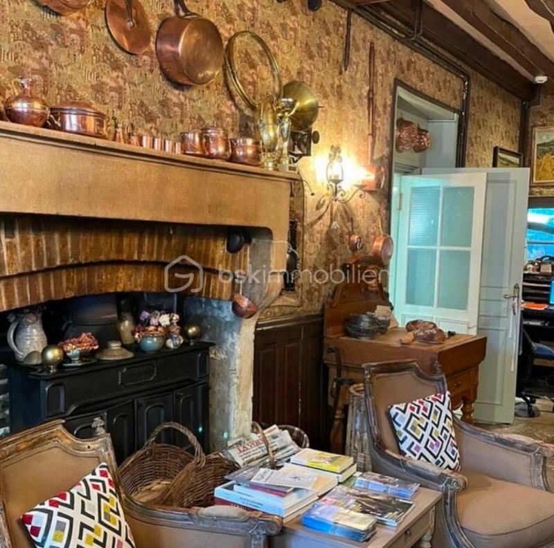 Hôtel particulier - 394 m² - 10 pièces