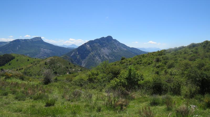 Association E Ki Libre  #pollinisatrice de Vie