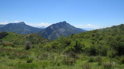 Association E Ki Libre  #pollinisatrice de Vie