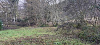 Terrain constructible - 1 241 m²