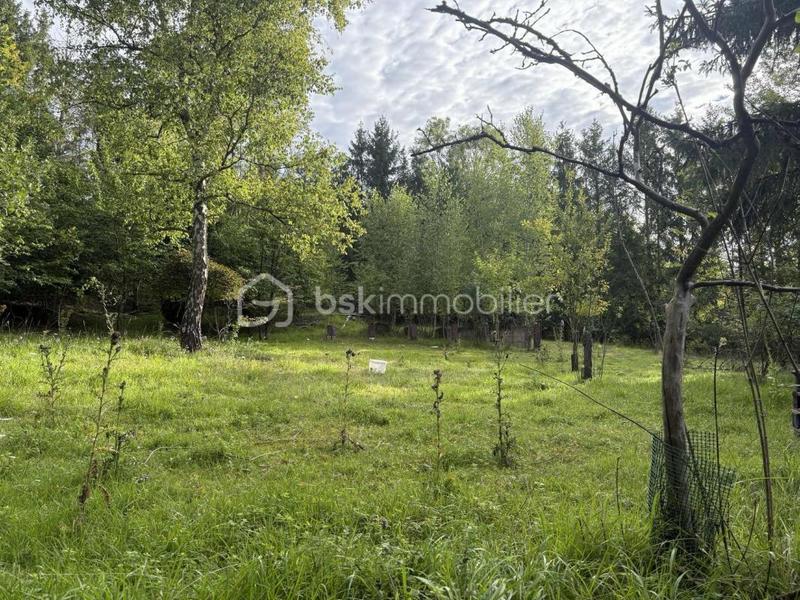 Terrain de loisirs - 4 620 m²