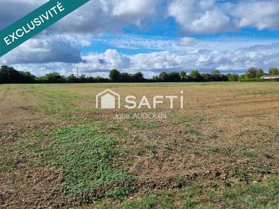 Terrain - 24 294 m²