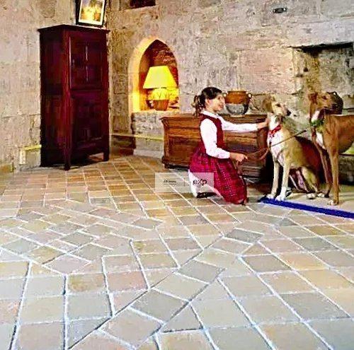 Local commercial - 56 m² - 2 pièces