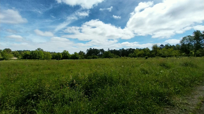 Terrain - 18 003 m²