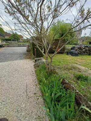 Maison - 80 m² - 3 pièces