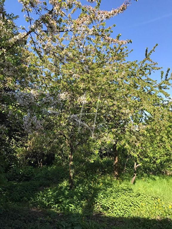 Maison ancienne - 222 m² - 7 pièces