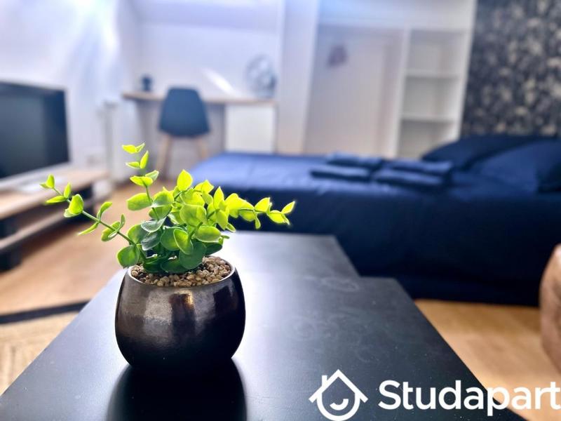 Chambre - 17 m² - 1 pièce