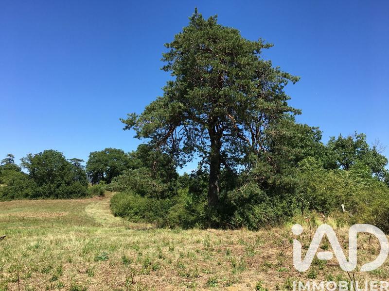 Terrain - 16 285 m²