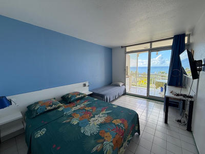 Appartement - 19 m² - 1 pièce