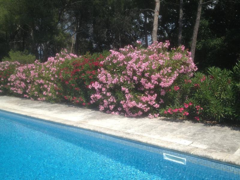 Maison - 323 m² - 10 pièces