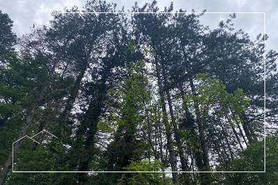 Terrain - 67 687 m²