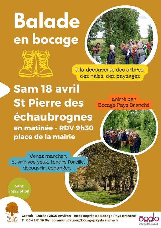 Sortie nature - Balade en bocage