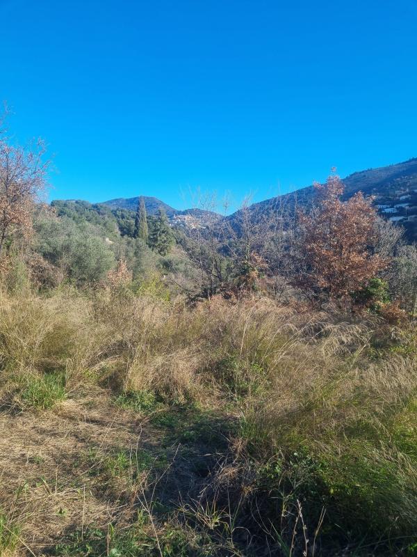 Terrain de loisirs - 1 520 m²