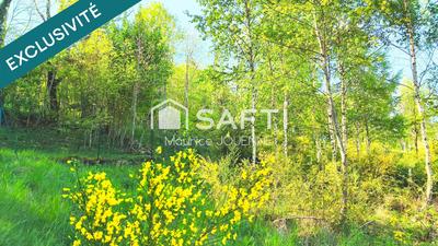 Terrain - 3 123 m²