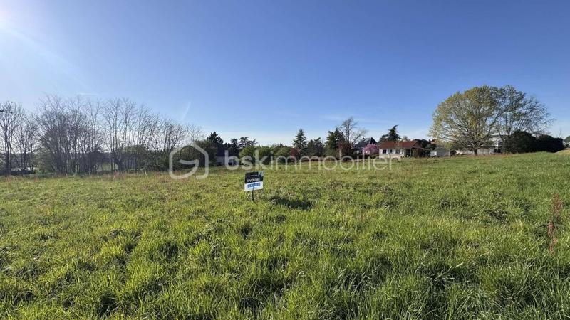 Terrain - 5 117 m²
