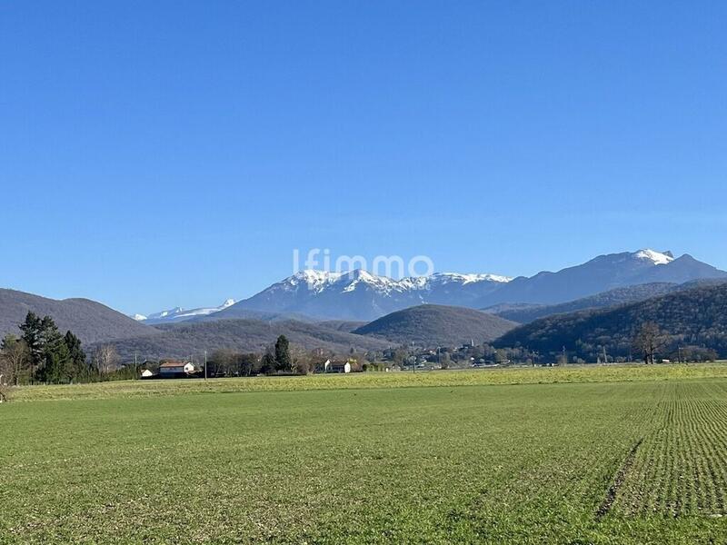 Terrain - 6 401 m²