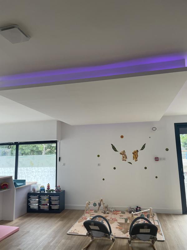 Micro-crèche les Petits Félins de Flo