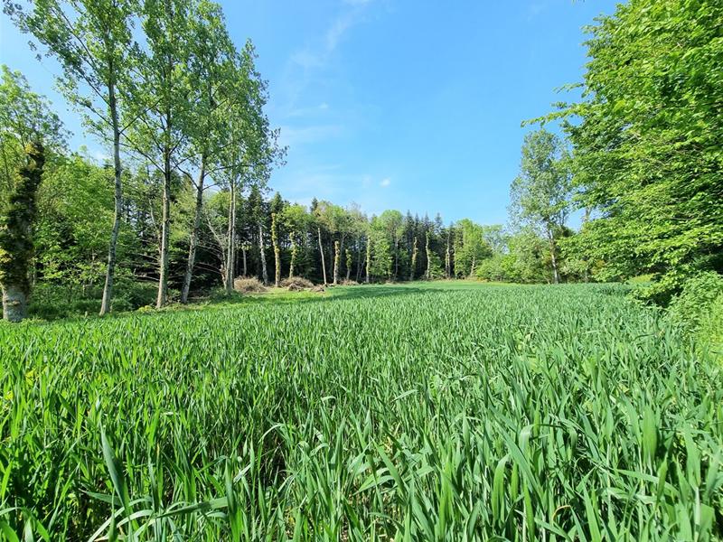 Maison - 228 m² - 8 pièces