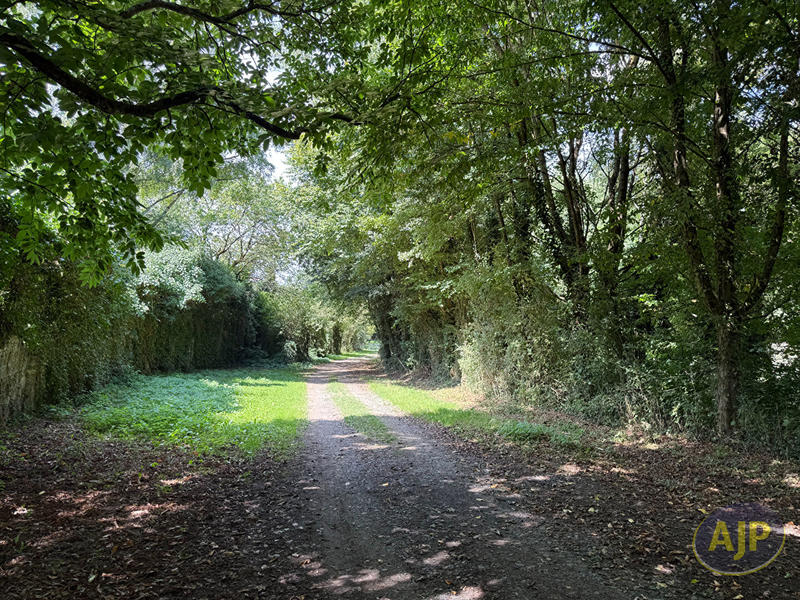 Maison - 87 m² - 5 pièces