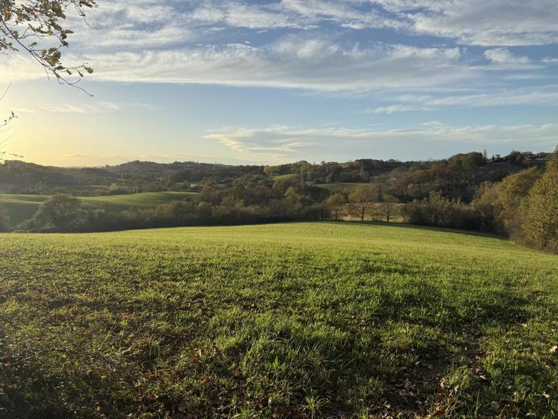 Terrain - 15 500 m²