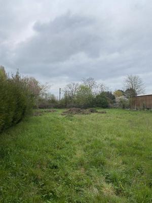 Terrain constructible - 1 195 m²