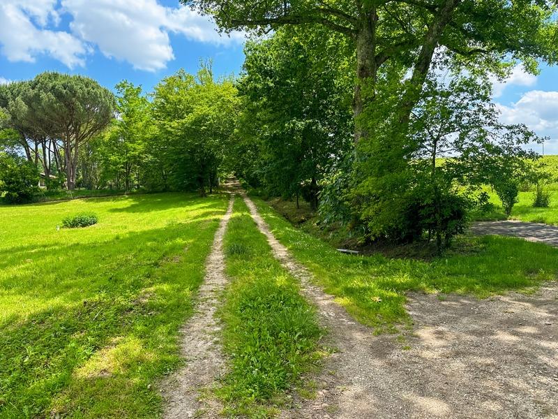 Terrain constructible - 4 586 m²