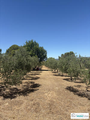 Maison - 127 m² - 4 pièces