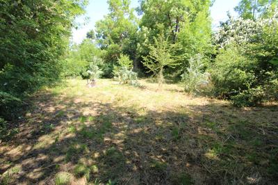 Maison - 79 m² - 4 pièces