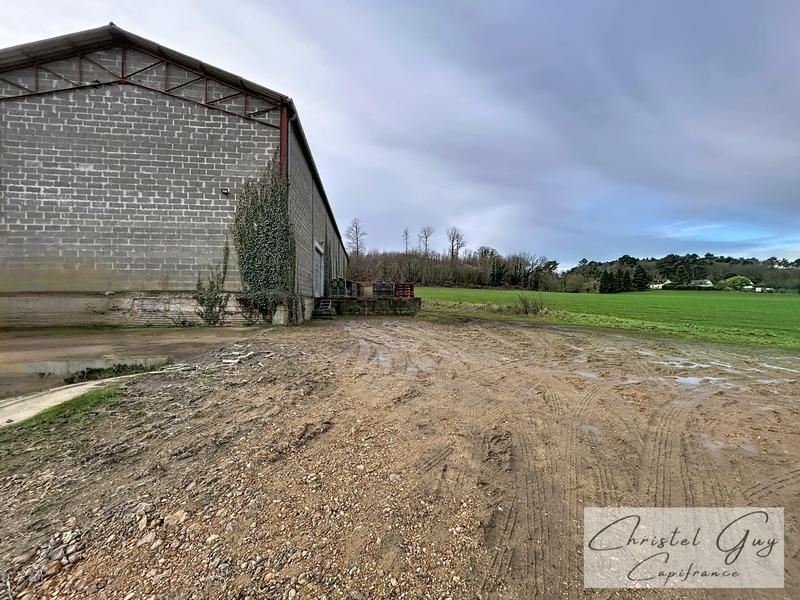 Maison de campagne - 82 m² - 4 pièces
